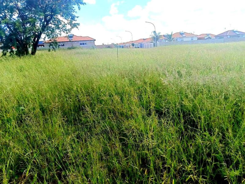 A view of a vacant residential plot covered in tall grass with surrounding neighborhood houses visible in the background.