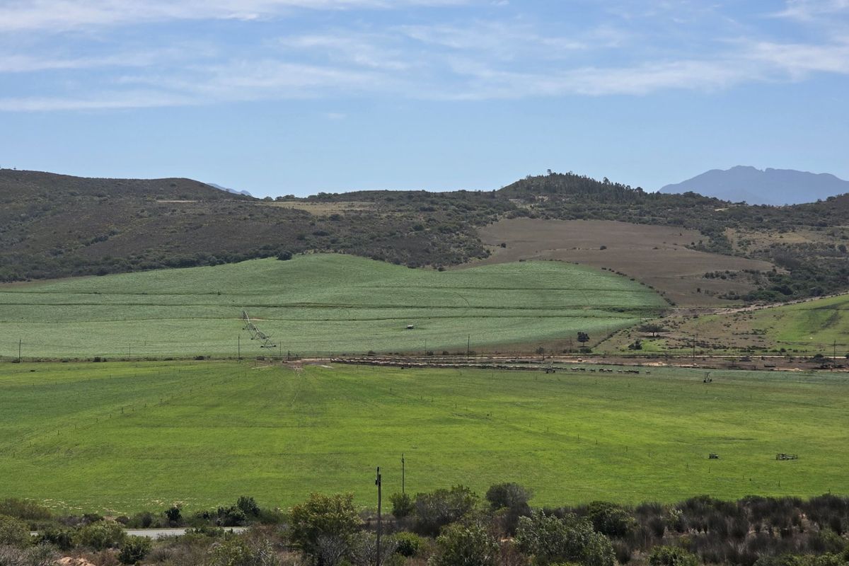 Large House... Entertainers Dream... Beautiful Rural Views !!! - Photo 4