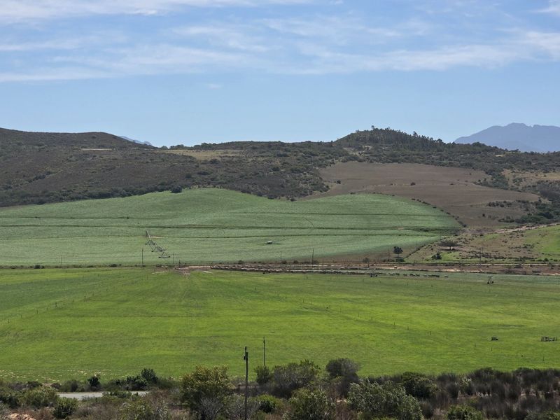 Expansive rural landscape view featuring rolling green agricultural fields, irrigation infrastructure, and distant mountain ranges under a clear sky.