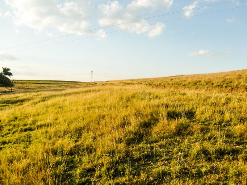 A Rare Piece of Gold in the Eastern Free State  - Photo 7