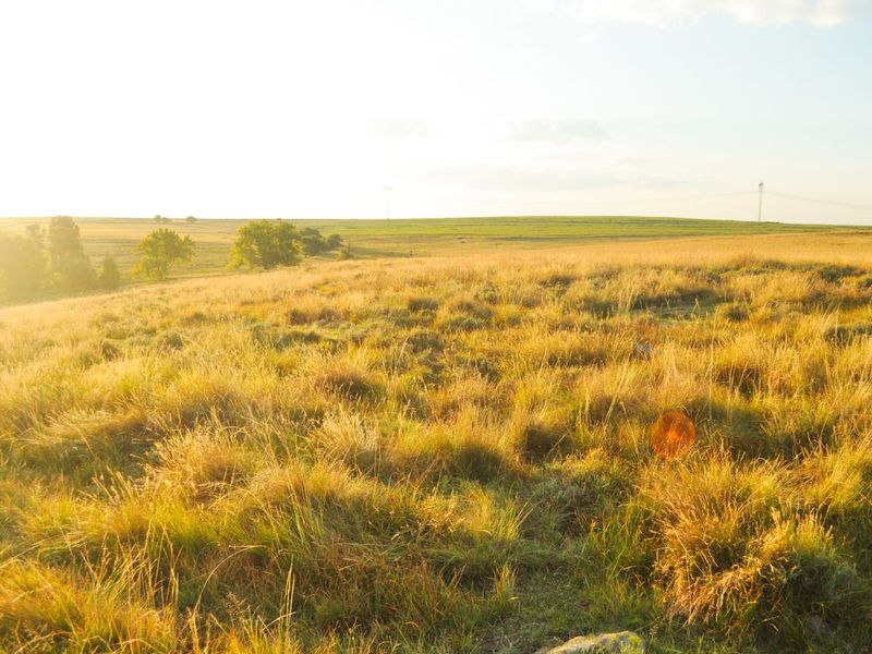 A Rare Piece of Gold in the Eastern Free State  - Photo 6