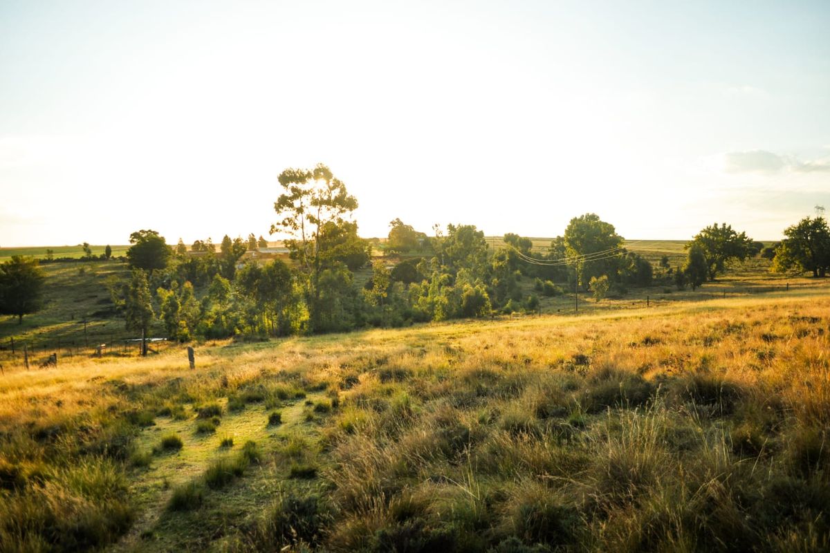 A Rare Piece of Gold in the Eastern Free State  - Photo 2