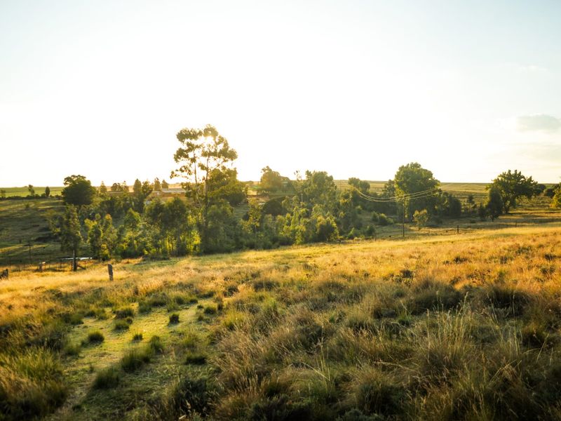 A Rare Piece of Gold in the Eastern Free State  - Photo 2