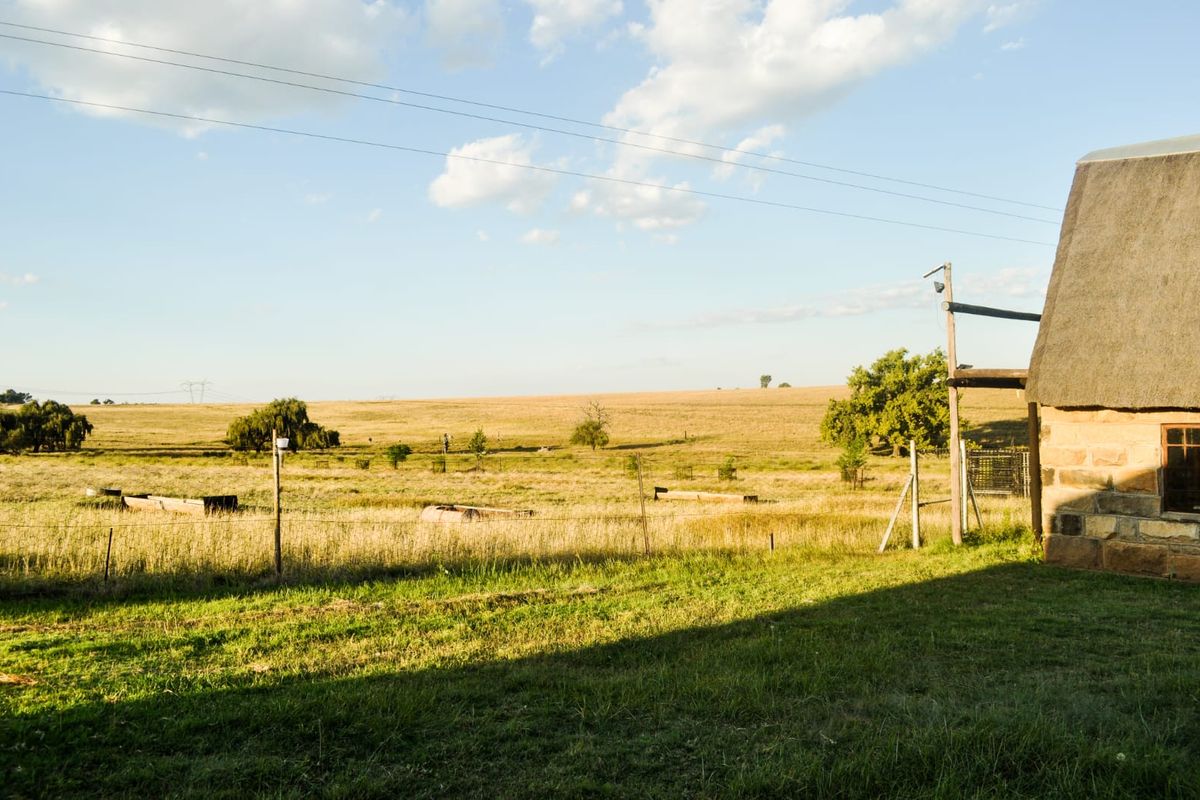 A Rare Piece of Gold in the Eastern Free State  - Photo 3