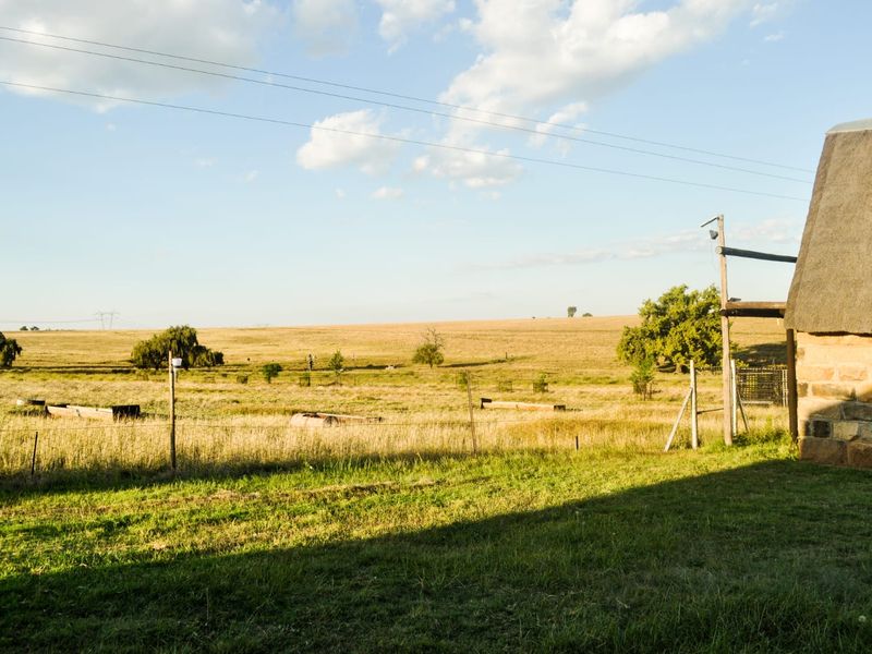 A Rare Piece of Gold in the Eastern Free State  - Photo 3