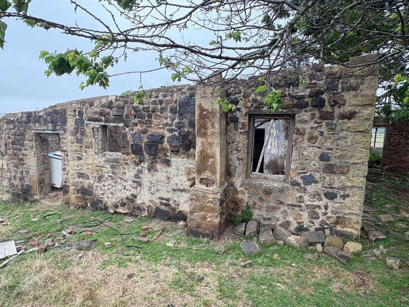 A Rare Piece of Gold in the Eastern Free State  - Photo 10