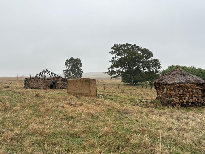 A Rare Piece of Gold in the Eastern Free State  - Photo 9