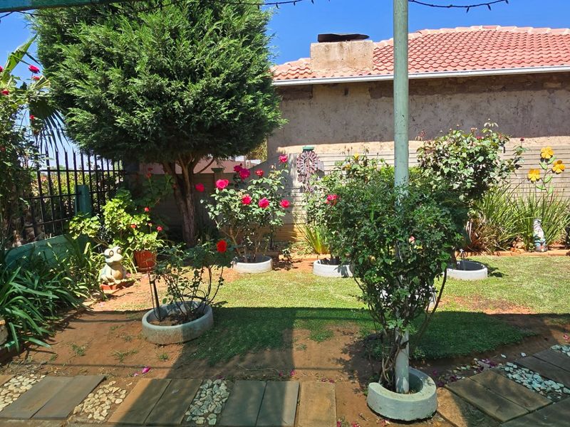 A well-maintained residential garden featuring a paved walkway, established rose bushes, and a perimeter metal fence.