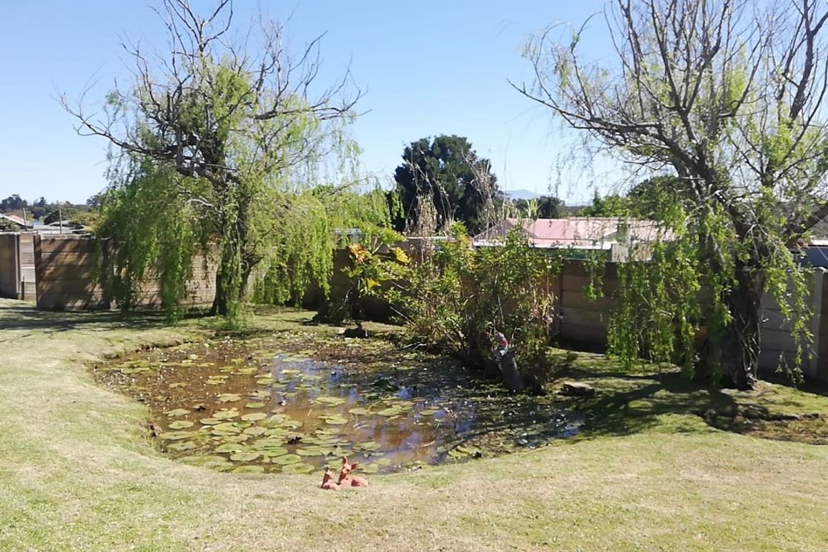 Well maintained family home for sale in Albertinia  - Photo 4