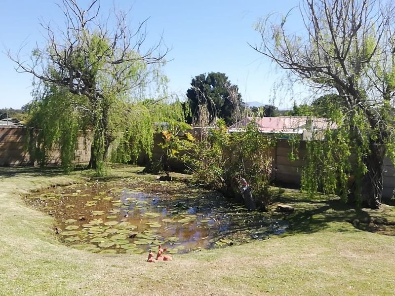 Well maintained family home for sale in Albertinia  - Photo 4