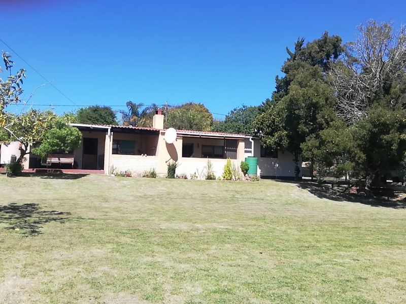 Well maintained family home for sale in Albertinia  - Photo 9