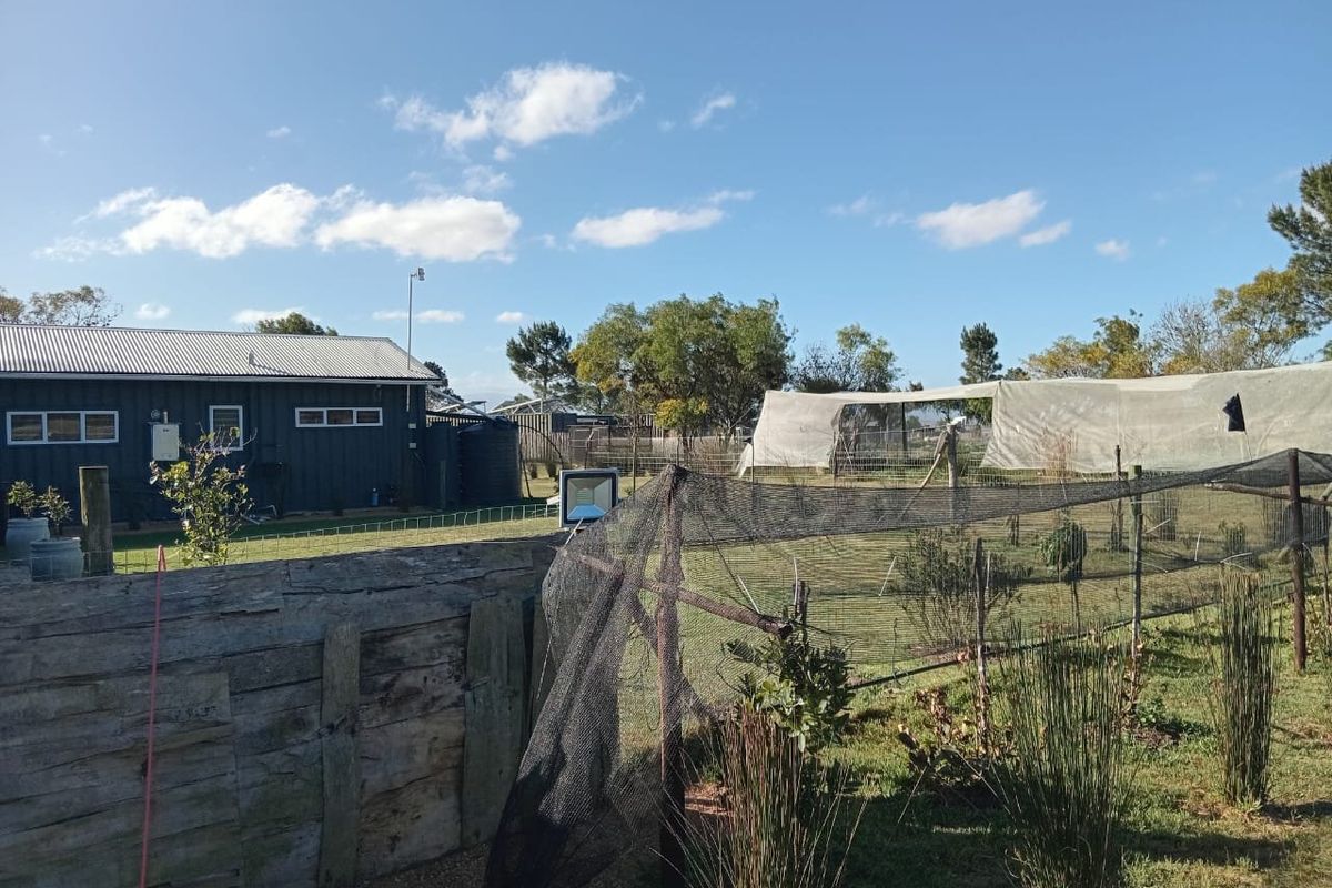 Small holding for sale in Albertinia  - Photo 4