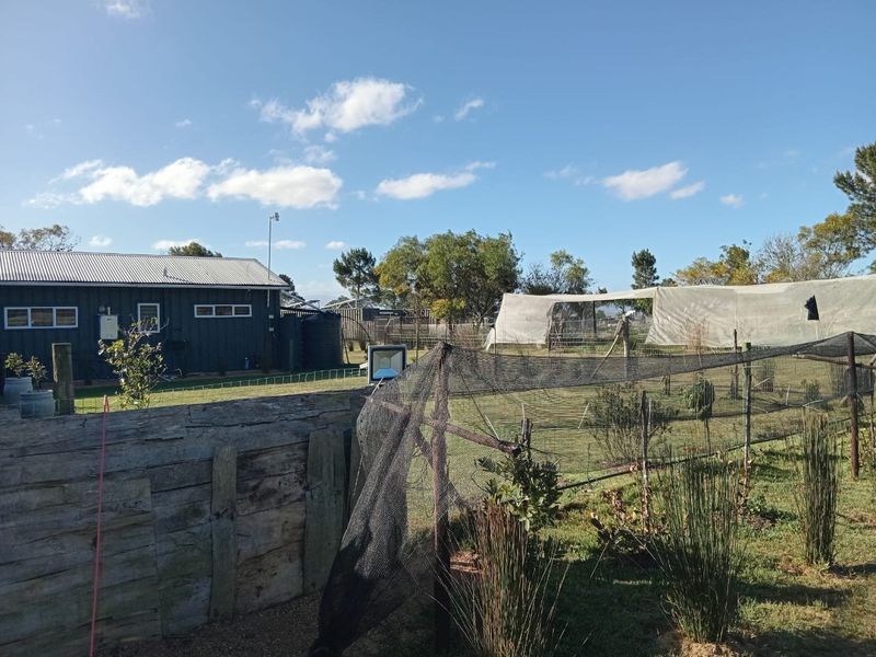 Small holding for sale in Albertinia  - Photo 4