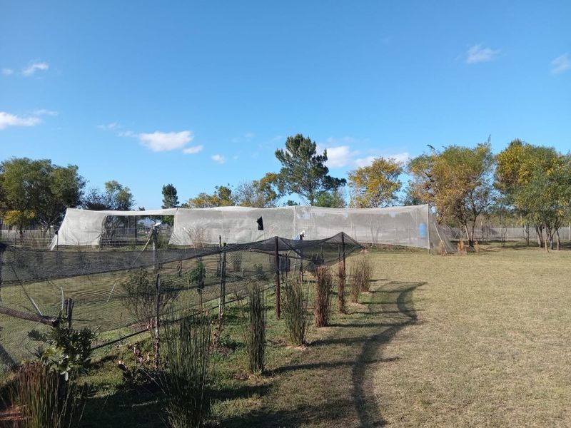 Small holding for sale in Albertinia  - Photo 10