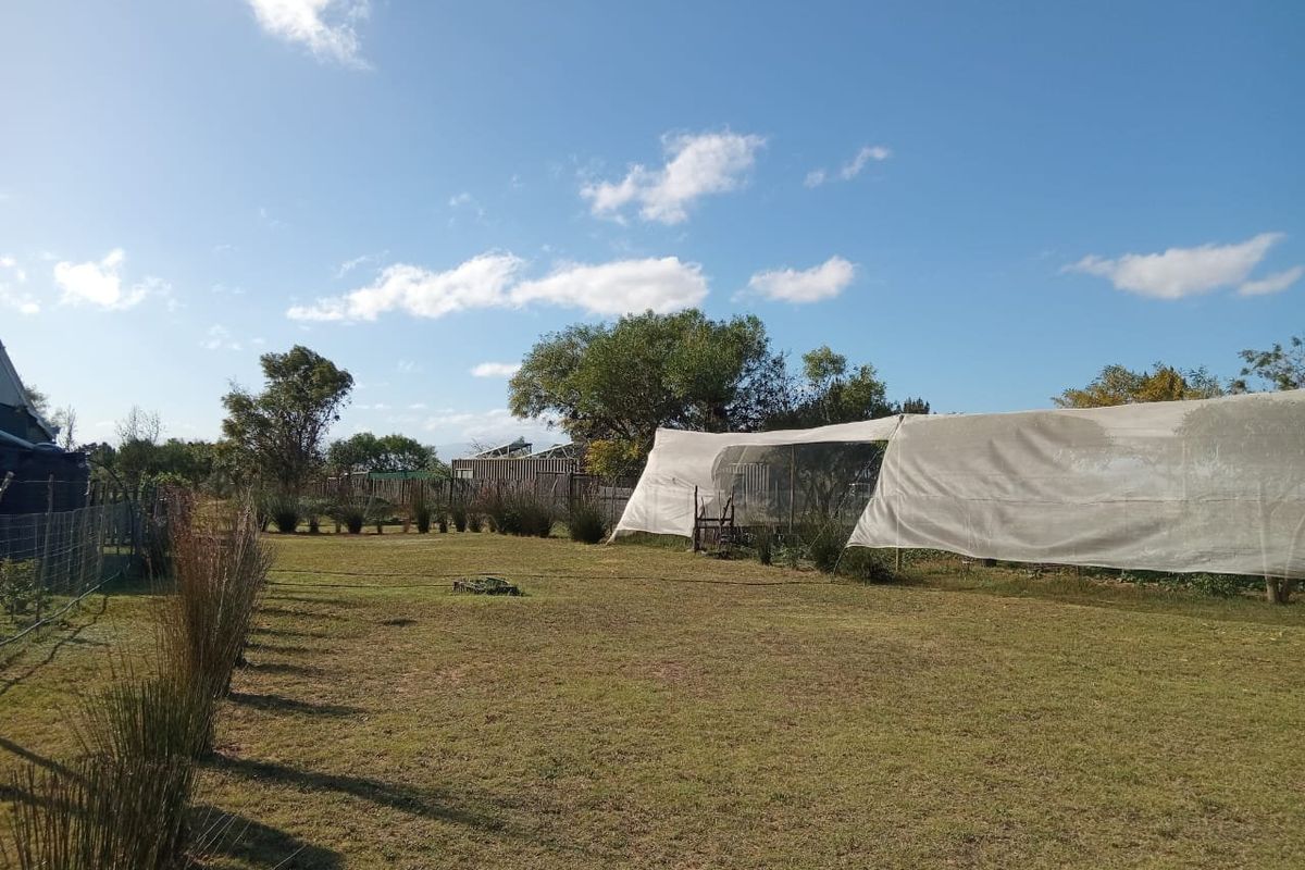 Small holding for sale in Albertinia  - Photo 3