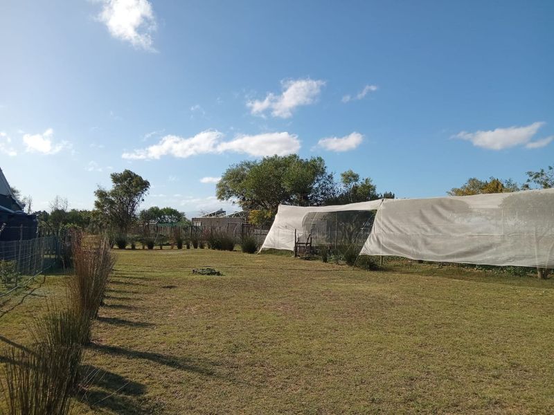 Small holding for sale in Albertinia  - Photo 3