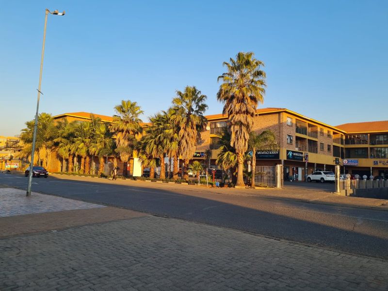 A street-level view of a multi-story commercial building featuring brick construction, balconies, and mature palm trees along the front facade.