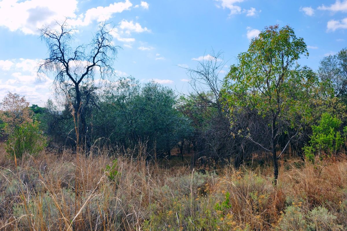 Vacant stand for sale in Koro Creek,Modimolle - Photo 5