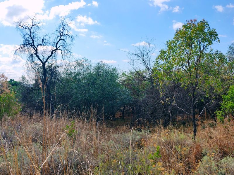 Vacant stand for sale in Koro Creek,Modimolle - Photo 5