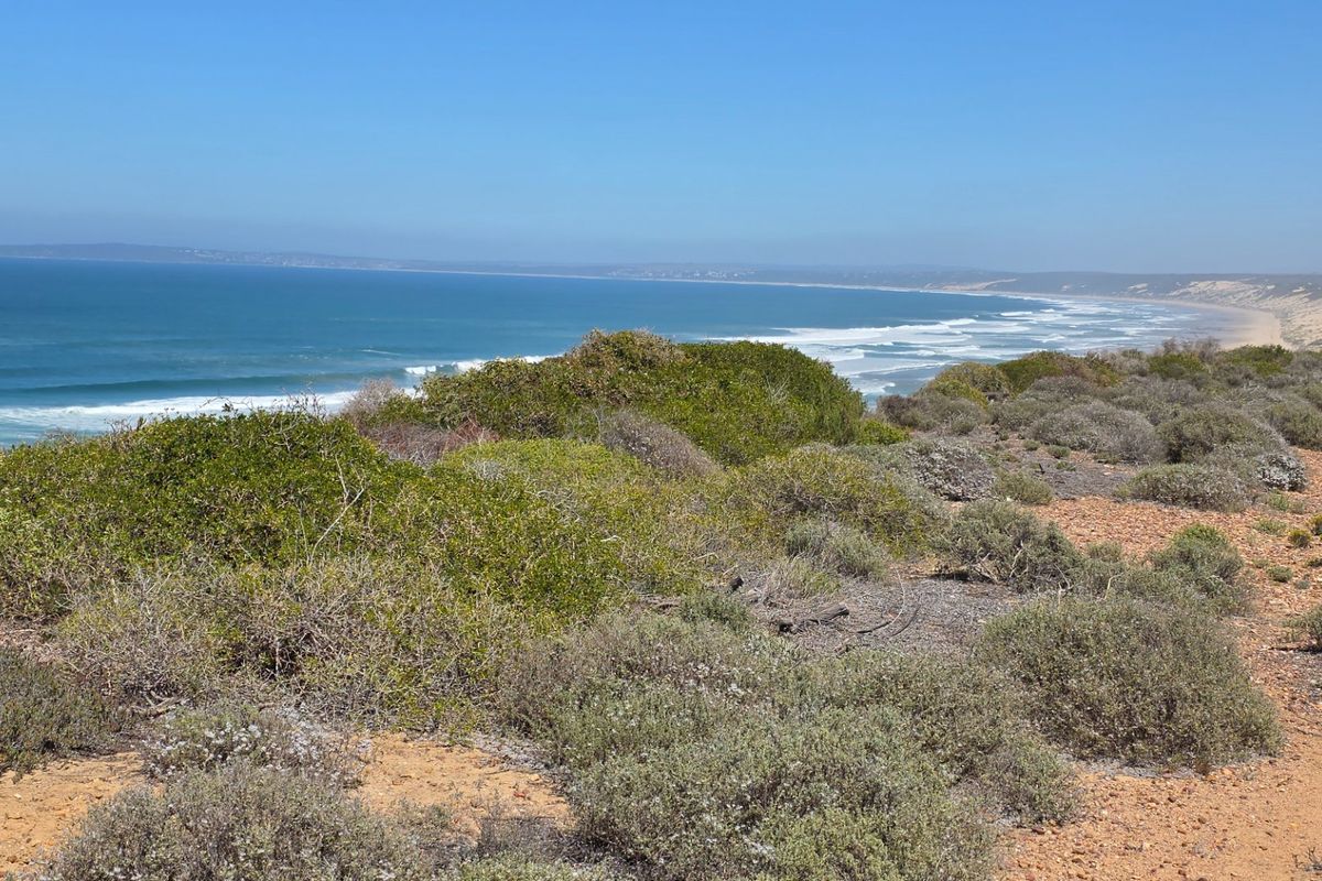 Beachfront Stand... Eco Estate... Unrestricted Ocean Views !!! - Photo 2