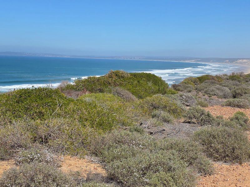 Beachfront Stand... Eco Estate... Unrestricted Ocean Views !!! - Photo 2