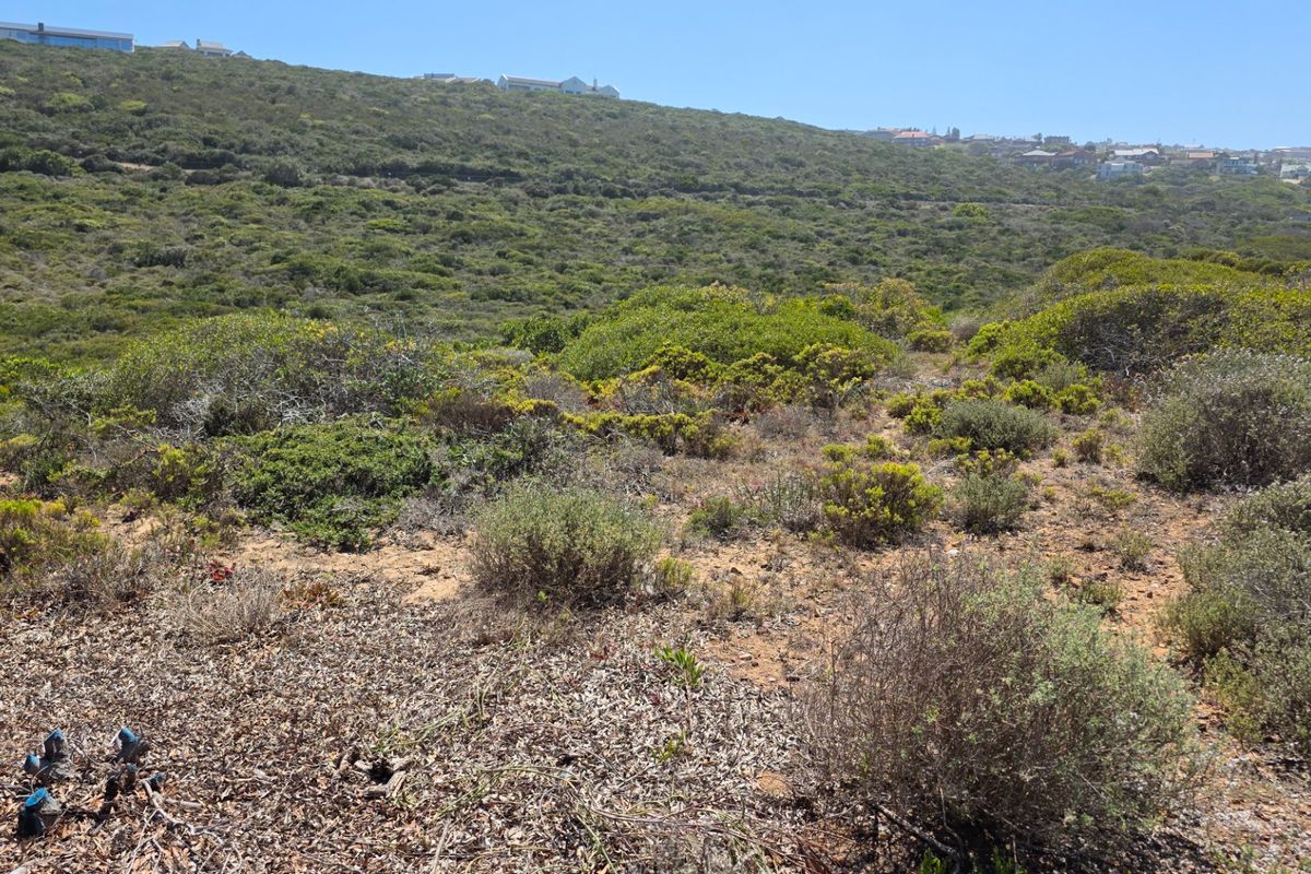 Beachfront Stand... Eco Estate... Unrestricted Ocean Views !!! - Photo 4