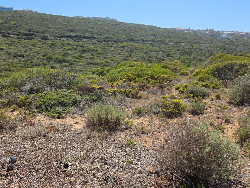 Beachfront Stand... Eco Estate... Unrestricted Ocean Views !!! - Photo 4