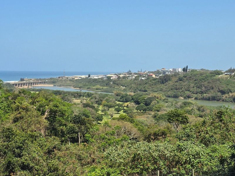 Stunning Luxury Home With B&B Potential - Photo 6