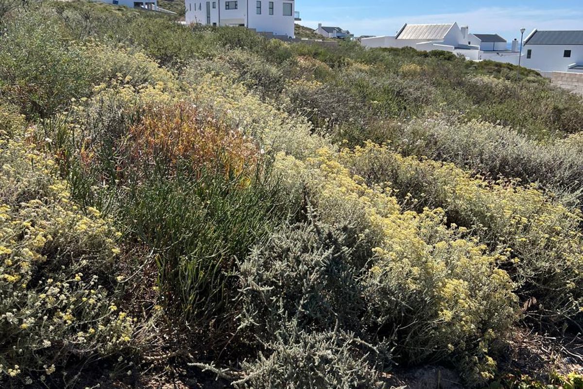Vacant Stand with Sea Views in St Helena Bay - Photo 4