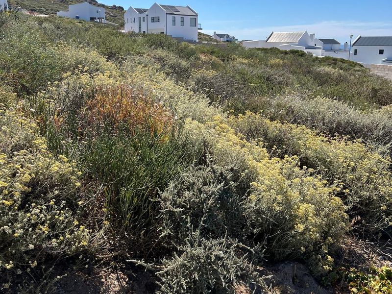 Vacant Stand with Sea Views in St Helena Bay - Photo 4