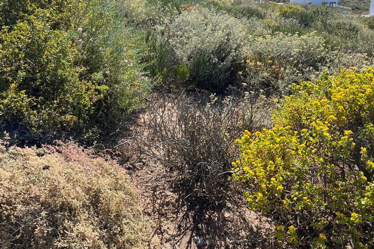 Vacant Stand with Sea Views in St Helena Bay - Photo 5