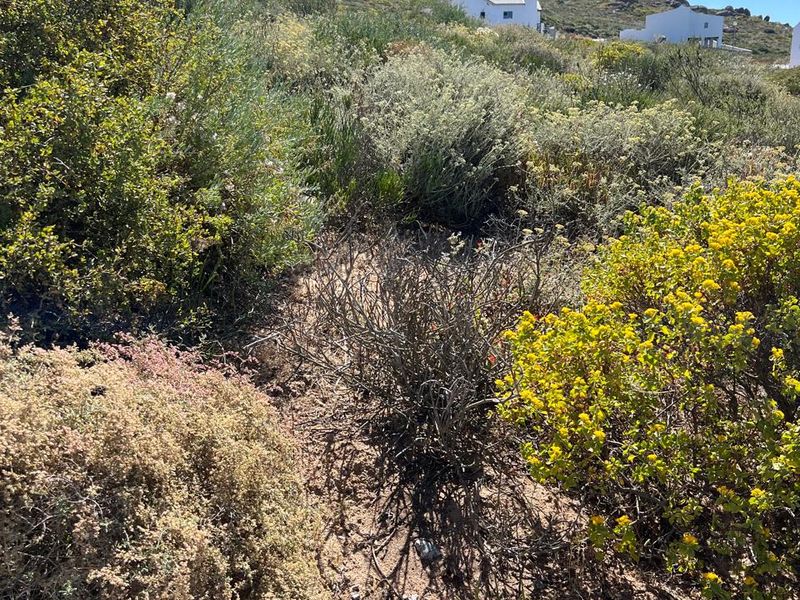 Vacant Stand with Sea Views in St Helena Bay - Photo 5