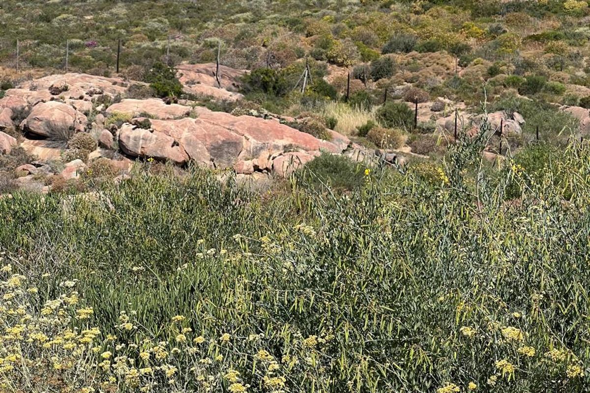 St Helena Bay erf with sea views and dunes - Photo 4