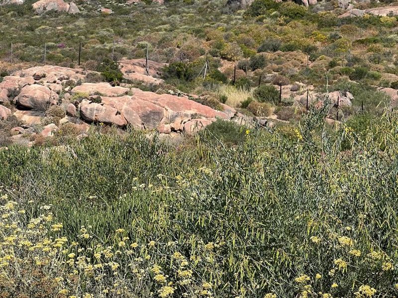 St Helena Bay erf with sea views and dunes - Photo 4