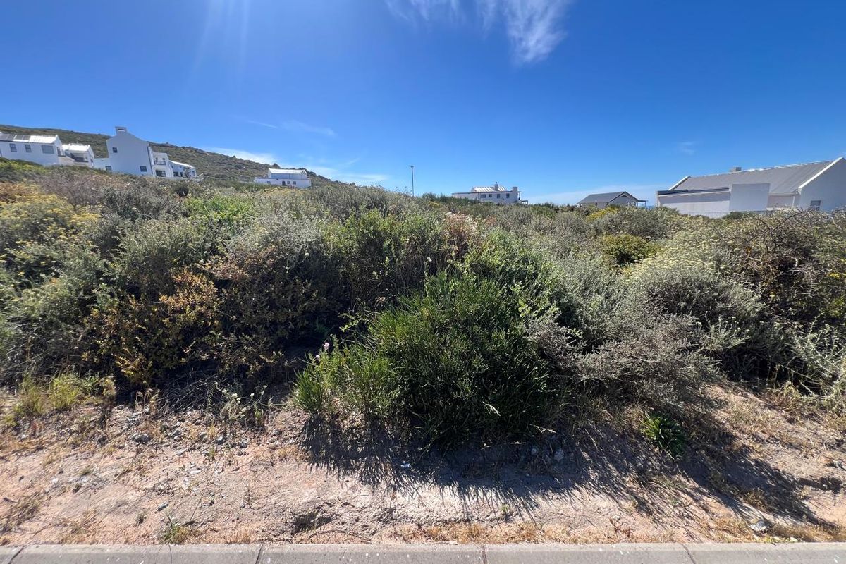 Prime Coastal Vacant Erf in St Helena Views - Photo 5