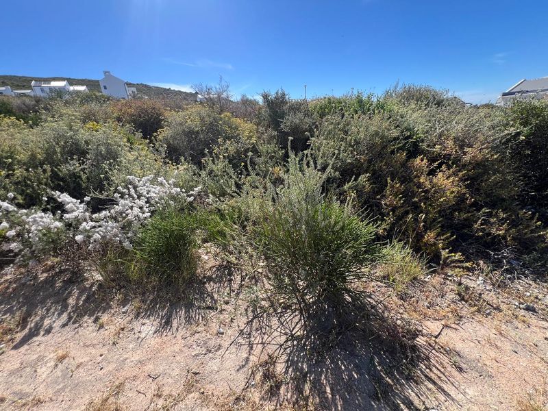 Prime Coastal Vacant Erf in St Helena Views - Photo 4