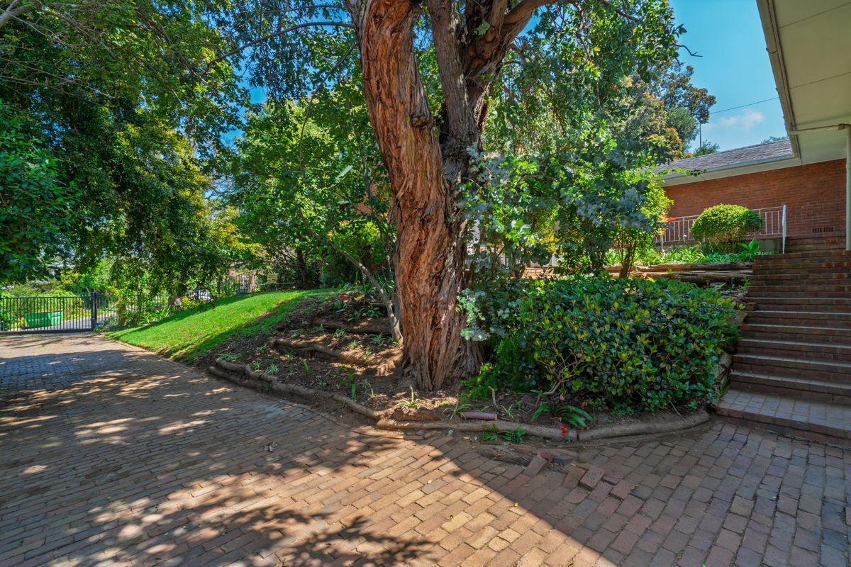 Prime Redevelopment or Renovation Opportunity | Trovato Estate, Upper Wynberg - Photo 5