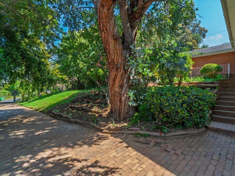 Prime Redevelopment or Renovation Opportunity | Trovato Estate, Upper Wynberg - Photo 5