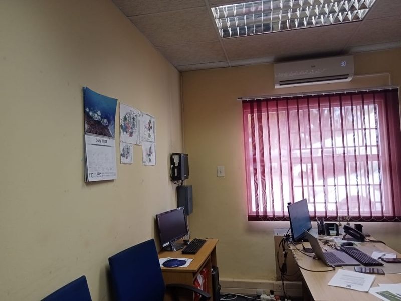 A functional office space featuring a suspended ceiling, split-system air conditioning, and window blinds with security bars.