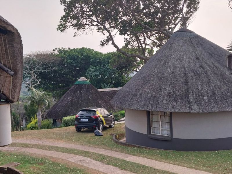 Exterior view of a property featuring traditional thatched roof structures and a concrete driveway set within a landscaped garden area.