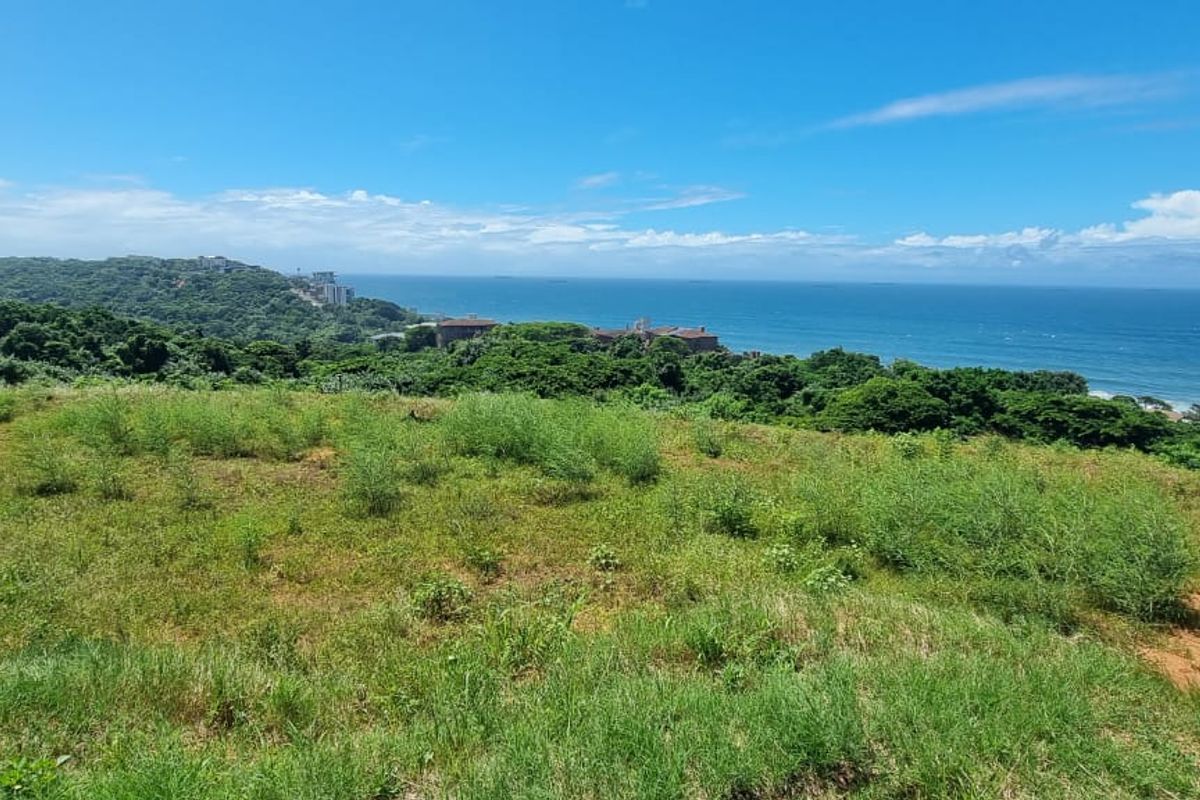 A scenic view overlooking a grassy vacant residential plot with expansive ocean and coastal landscape vistas.