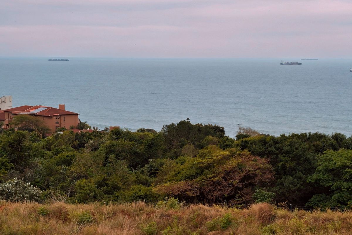 A scenic elevated view overlooking the ocean, surrounding coastal vegetation, and nearby residential buildings.