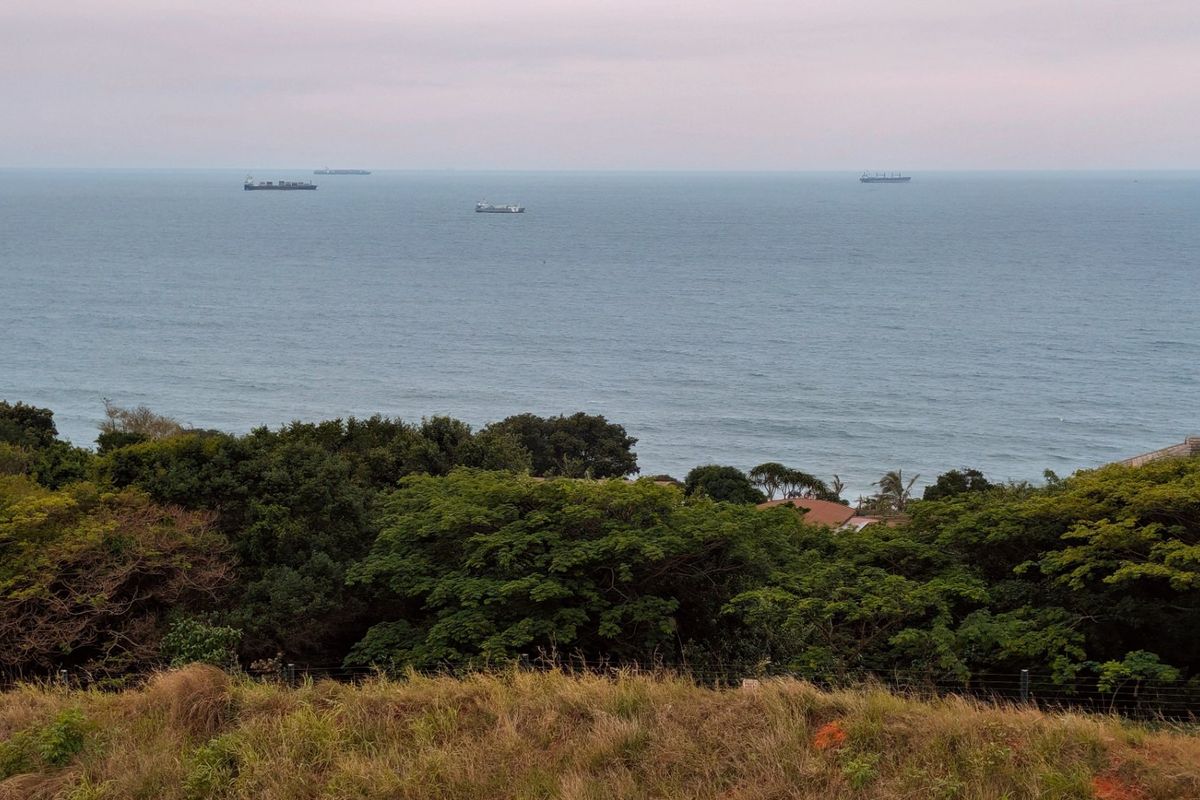 A scenic elevated view overlooking the ocean with lush coastal vegetation in the foreground.