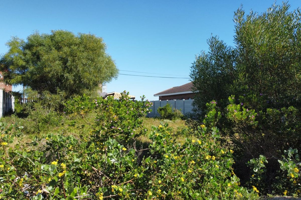 Well-Located Vacant Stand in Kleinkrantz - Photo 5