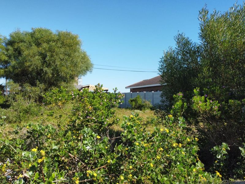 Well-Located Vacant Stand in Kleinkrantz - Photo 5