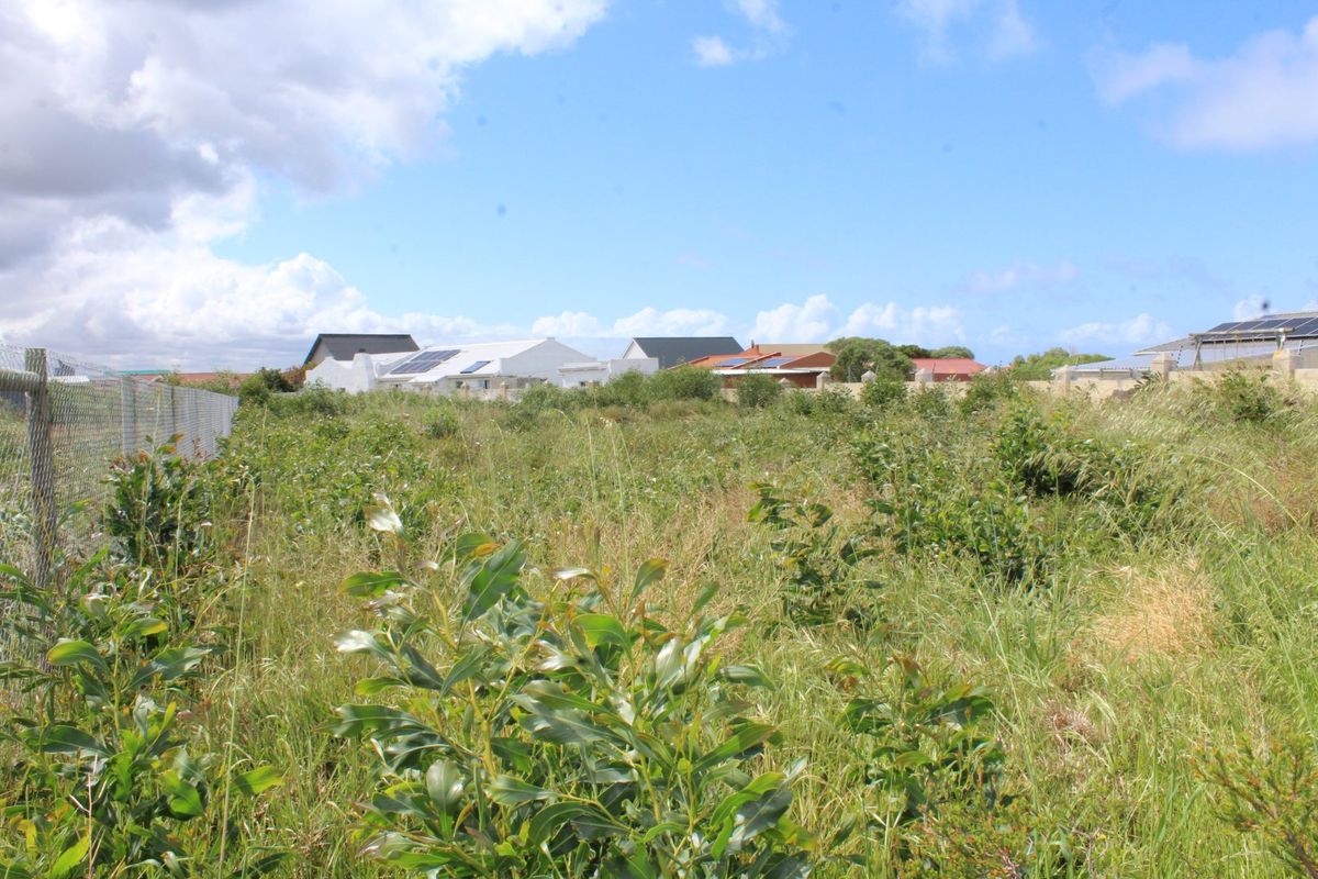 Vacant Panhandle Plot in Cul-de-Sac – Franskraal, Gansbaai | 911 m2 | Coastal Serenity on the Whale Coast - Photo 4