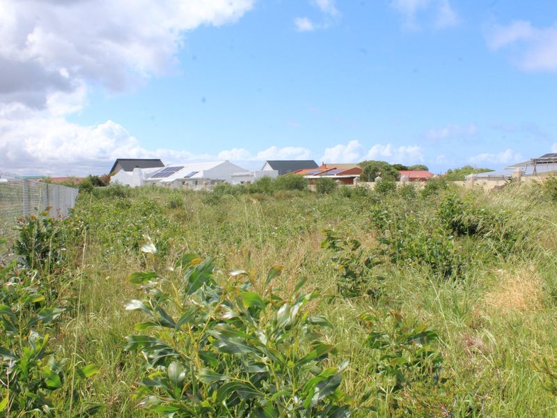 Vacant Panhandle Plot in Cul-de-Sac – Franskraal, Gansbaai | 911 m2 | Coastal Serenity on the Whale Coast - Photo 4