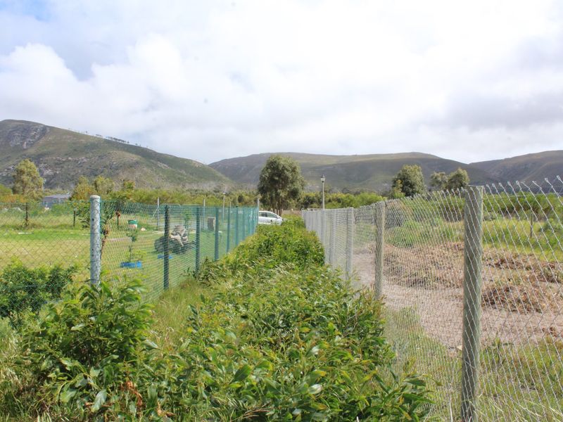 Vacant Panhandle Plot in Cul-de-Sac – Franskraal, Gansbaai | 911 m2 | Coastal Serenity on the Whale Coast - Photo 2