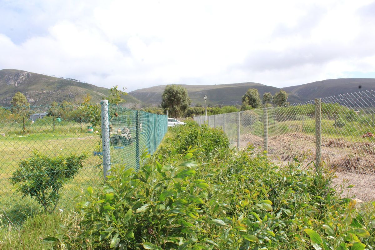 Vacant Panhandle Plot in Cul-de-Sac – Franskraal, Gansbaai | 911 m2 | Coastal Serenity on the Whale Coast - Photo 3