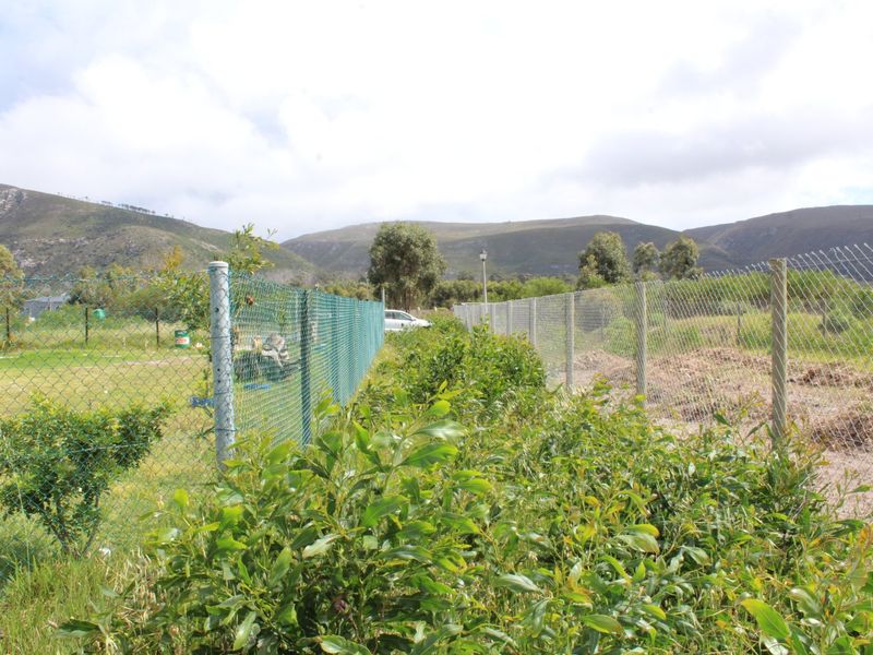 Vacant Panhandle Plot in Cul-de-Sac – Franskraal, Gansbaai | 911 m2 | Coastal Serenity on the Whale Coast - Photo 3